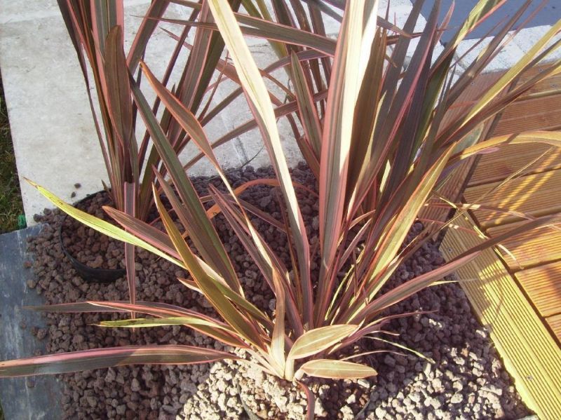 Jardins Auganais Paysagiste Guer Img Creation Jardin 3